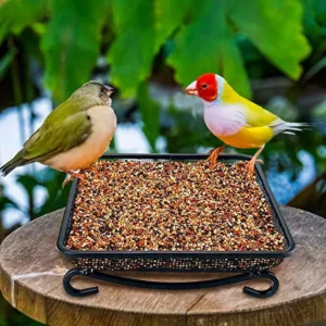 MIXXIDEA Ground Bird Feeder for Outdoors, Wooden Mesh Seed Tray for Bird Feeders, Great Attracting Garden Yard Decoration for Wild Birds Squirrels Chicken Dove, Green
