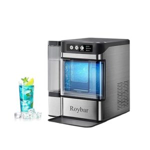 Ice maker