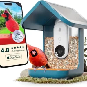 Bird Buddy PRO Solar Smart Bird Feeder with Camera - AI Bird Species Identification, 5MP Photos, 2K HD Video Live Stream Camera, Slow-Motion Video, 2.6in Focus - Blue Solar