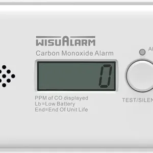 Carbon Monoxide Detector, 10 Years Battery Carbon Monoxide Alarm, CO Alarm with LCD Display and Test/Silence Button Conforms to EN50291 Standard