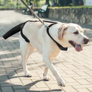 Ohcozzy Dog Tail Protector, Soft Tail Guard for Medium/Large Dogs, Adjustable Cover to Prevent Licking & Aid Wound Recovery(L,Black)
