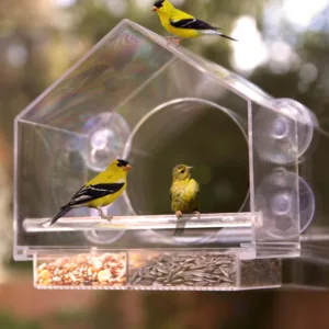 Transparent Window Acrylic Bird Feeders for Outdoors - Enhanced Suction Grip, Bird Watching for Cats, Easy-to-Clean
