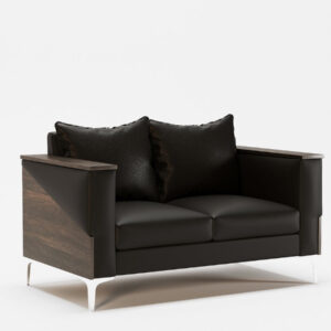 Sofa for living room