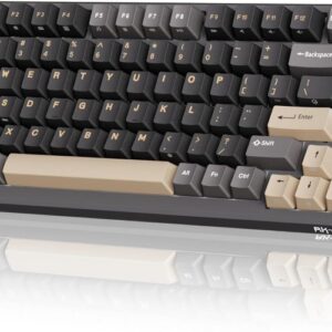 RK ROYAL KLUDGE M75 Mechanical Keyboard, 2.4GHz Wireless/Bluetooth/USB-C Wired Gaming Keyboard 75% Layout 81 Keys with OLED Smart Display & Knob, RGB Backlight Hot Swap Fast Silver Switch, US Layout