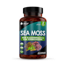 Sea moss