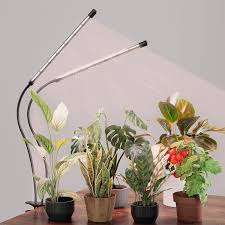 Grow light