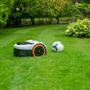 Robotic lawn mower