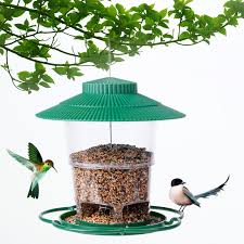 Bird feeder