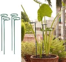 Garden hook