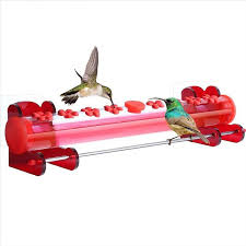 Window bird feeder