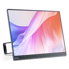 Portable monitor