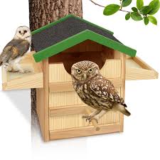 Owl house