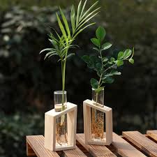 Glass plants