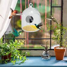 Smart bird feeder