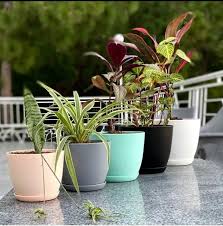 Plant pot