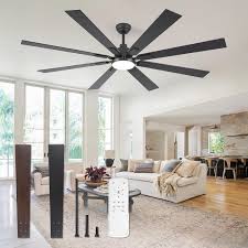 Black ceiling fan