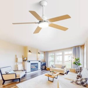 Ceiling fan